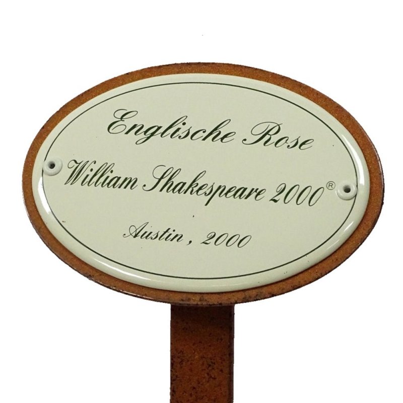 Rosenschild, Rosenstecker Emaille, Englische Rose William Shakespeare, Austin