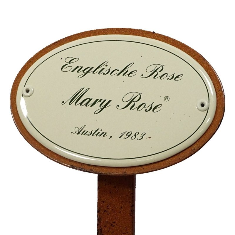 Rosenschild, Rosenstecker Emaille, Englische Rose Mary Rose, Austin 1983