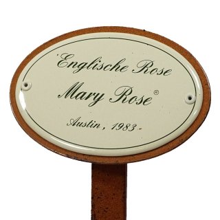 Rosenschild, Rosenstecker Emaille, Englische Rose Mary Rose, Austin 1983