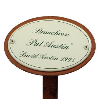 Rosenschild, Rosenstecker Emaille, Strauchrose: Pat Austin, David Austin 1995