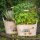 Pflanzgefäß-Set, Blumentöpfe, Pflanzentopf, zwei ovale Holz Pflanzeimer