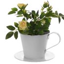 Pflanztopf Kaffeefilter, Blumentopf, Pflanzgefäß wie Melitta Filter