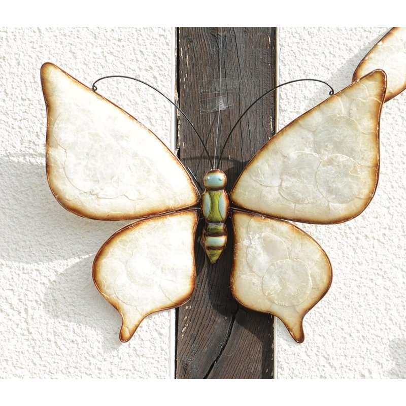 Deko Schmetterling mit Muschel Einlagen, Wanddeko Softshell Falter