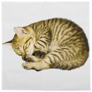 20 Servietten mit schlafendem Kätzchen, Katzen Motiv...