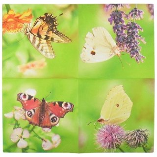 20 Servietten Frühling mit Blumen und Schmetterlingen...