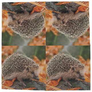 20 Servietten Igel und buntes Laub, besinnliche Herbstzeit 33x33 cm