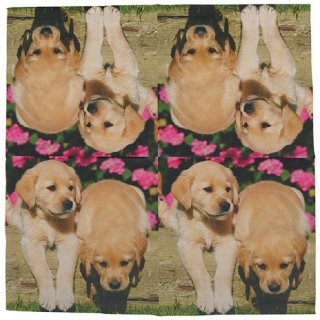 20 Servietten Welpen, putzige Hunde Babys aus Tissue-Papier 33x33 cm