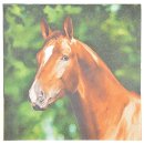 20 Servietten Pferdeportrait, Pferd auf dem Bauernhof 33...