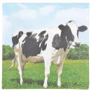 20 Servietten mit Kuh, Kühe auf dem Bauernhof 33 x...