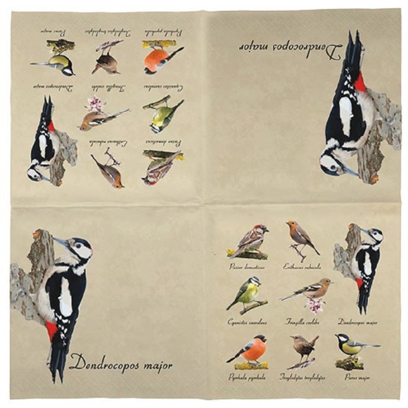 20 Stück Vogel Servietten Tissue-Papier 33 x 33 cm Servietten mit Vogelsammlung 