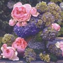 20 Servietten, Rosa Rosen und Blaue Hortensien 33x33 cm