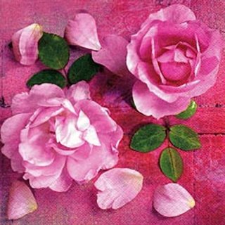 20 Servietten, Rosa Rosen, Rosenblüten auf heißem Pink 33x33 cm