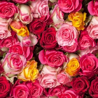 20 Servietten, Buntes Rosen Meer, Blütenzauber mit Rosen...