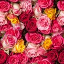 20 Servietten, Buntes Rosen Meer, Blütenzauber mit...