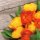 20 Servietten, Frühling, Bunter Blumenstrauß gefüllter Tulpen 33x33 cm