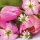 20 Servietten, Frühlingsblumengruß mit Apfelblüten und Tulpen 33x33 cm