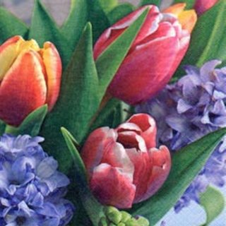20 Servietten, Tausend Frühlingsgrüße mit Tulpen und Hyazinthen 33x33 cm