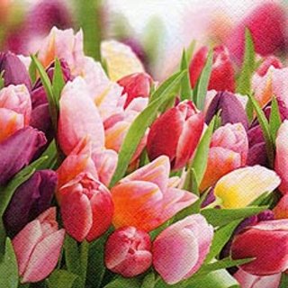20 Servietten, Frühling ein Traum mit Tulpen in Pink und Violett 33x33 cm