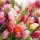 20 Servietten, Frühling ein Traum mit Tulpen in Pink und Violett 33x33 cm