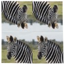 20 Servietten Zebra, Afrikanische Tiere das Zebra 33 x 33 cm