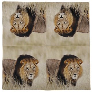 20 Servietten Löwe, Afrikanische Tiere der Löwe 33 x 33 cm