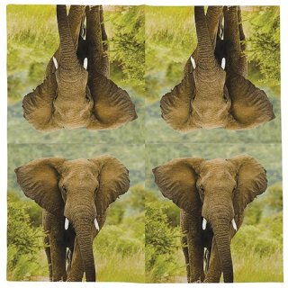 20 Servietten Elefant, Afrikanische Tiere der Elefant 33...