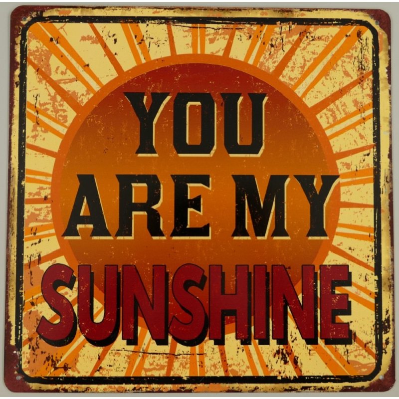 Blechschild, Reklameschild, You are my Sunshine, Gastro Wandschild 30x30 cm