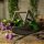 Blumen Kiepe, Blumenpflückkorb, Nostalgie Garten Korb aus Kiefern Holz