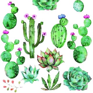 20 Servietten, Blühende Kakteen und Sokkulenten, Sommer Sonne Kaktus 33x33