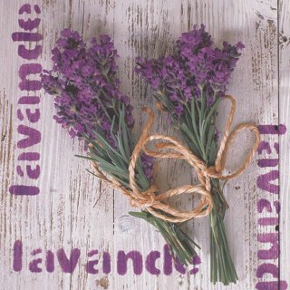 20 Servietten, Lavendel, gebundene Lavendelsträuße 33x33 cm