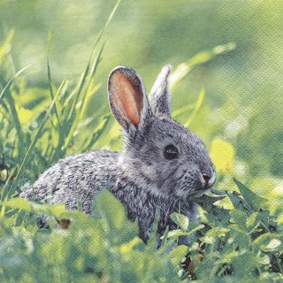 20 Servietten, Kaninchen im Gras, putziger Geselle auf der Osterwiese 33x33 cm