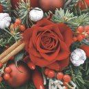 20 Servietten Weihnachten, Rote Rosen mit Tanne, Brunia...