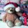 20 Servietten Weihnachten, Weihnachts-Teddy mit Geschenk und Tannengrün 33x33 cm
