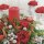 20 Servietten Weihnachten, Rote Rosen, Kerze und Deko auf Tannenkranz 33x33 cm
