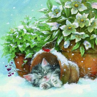 20 Servietten Weihnachten, Weiße Christrosen und schlafendes Kätzchen 33x33 cm