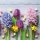 20 Servietten Frühling Hyazinthen, Narzissen, Tulpen und dragierte Eier 33x33 cm