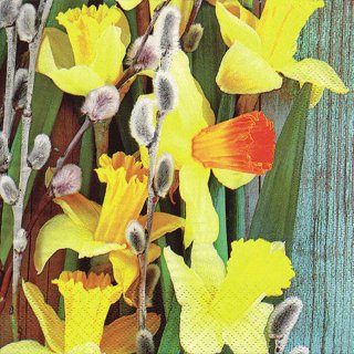 20 Servietten Frühling, Ostern, dekorierte Narzissen und Weidenkätzchen 33x33 cm