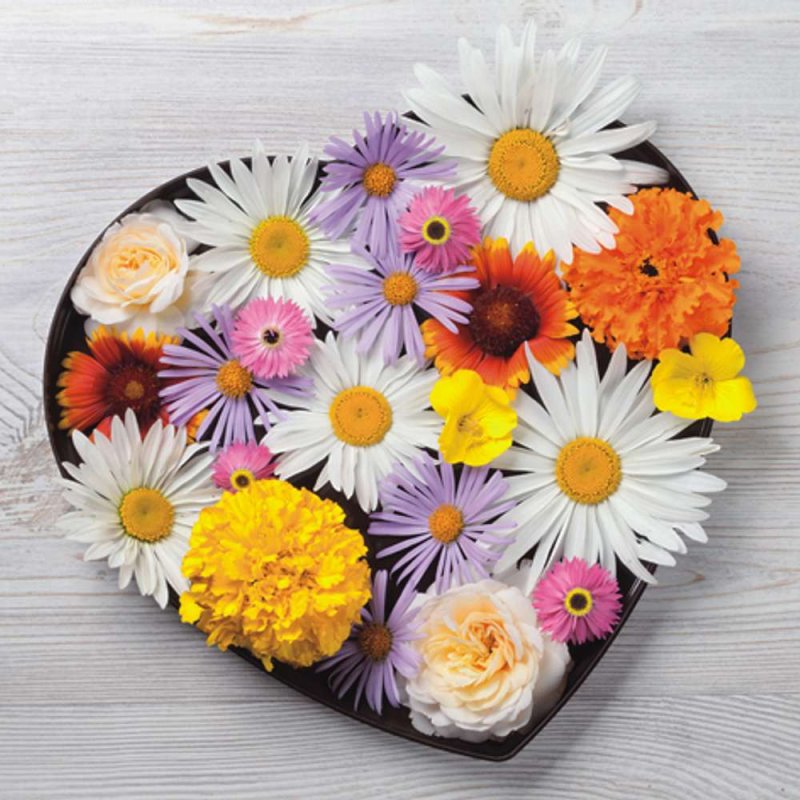 20 Servietten Sommer, buntes Blüten Potpourri, in Herz Form, Herzblumen 33x33 cm