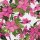 20 Servietten Sommer, blühende Clematis in Pink 33x33 cm