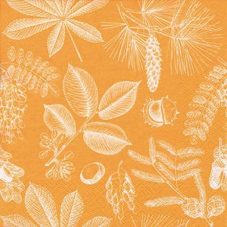 20 Servietten Herbst, Früchte und Blätter des Waldes in Orange 33x33 cm