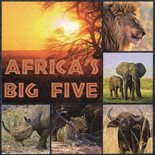 20 Servietten Afrika, Collage berühmter Tiere Afrikas 33x33 cm