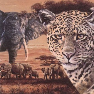 20 Servietten Afrika, Collage Leopard und Elefanten in der Savanne 33x33 cm