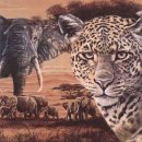 20 Servietten Afrika, Collage Leopard und Elefanten in...