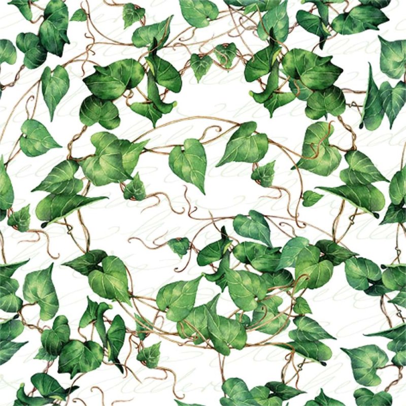 20 Servietten, Grüne Efeu Ranken, Immergrüner Efeu 33x33 cm