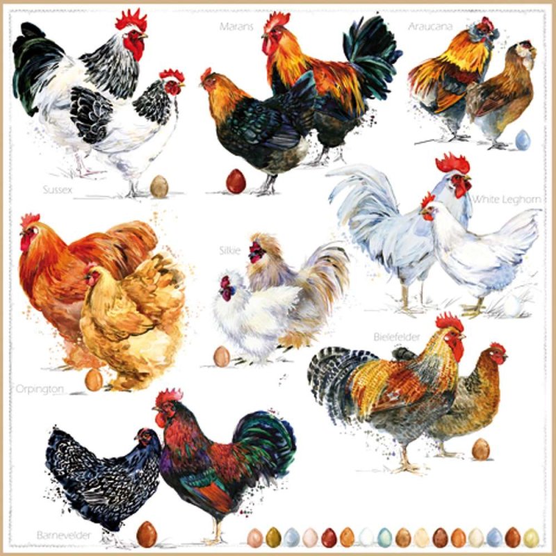 20 Servietten Hühner heimische Hühnerrassen 33x33 cm 