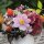 20 Servietten, Sommer, Bunter, praller Blumenstrauß mit Beeren 33x33 cm