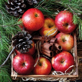20 Servietten Weihnachten Rote Apfel, Zimt & Tannengrün 33x33 cm.