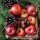 20 Servietten Weihnachten Rote Apfel, Zimt & Tannengrün 33x33 cm.