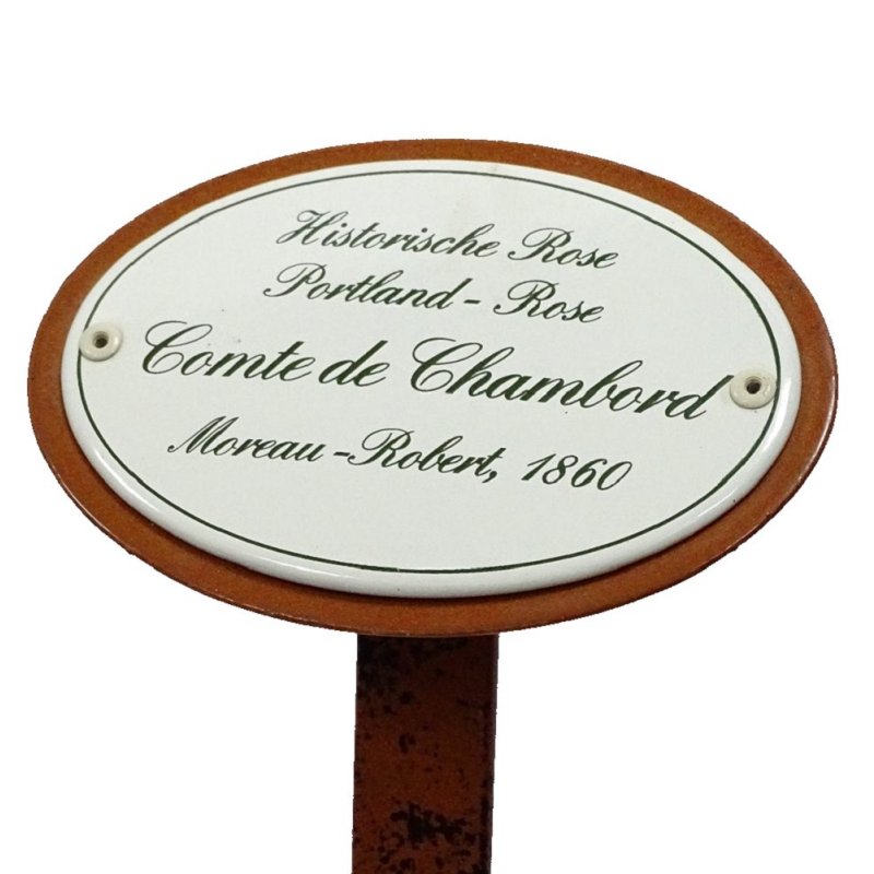 Rosenschild, Rosenstecker Emaille, Historische Rose Comte de Chambord 1860