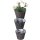3 teiliges Pflanzschalen Set aus Polyrattan, Pflanzkörbe, Blumenübertöpfe